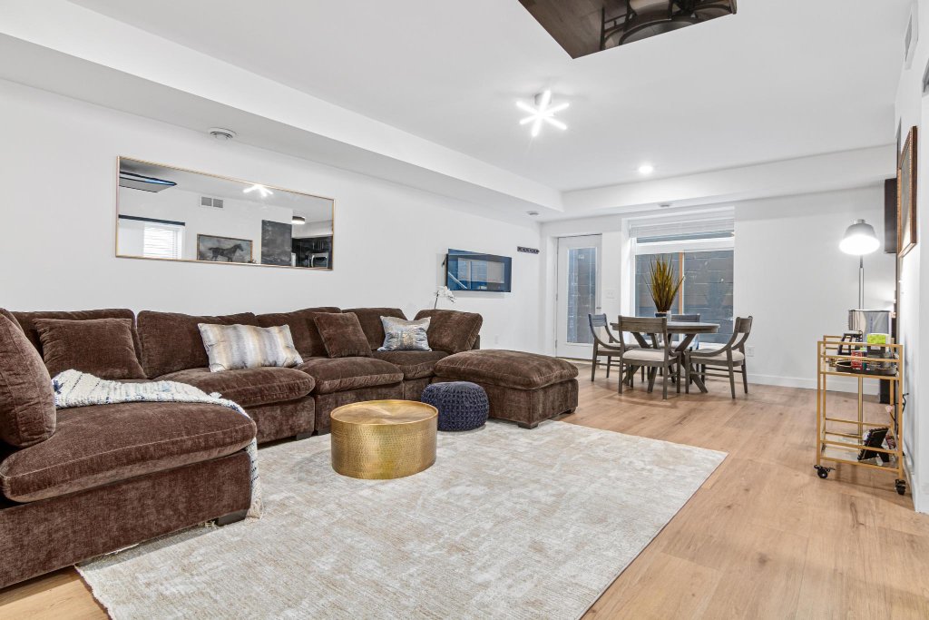 Lower level living room